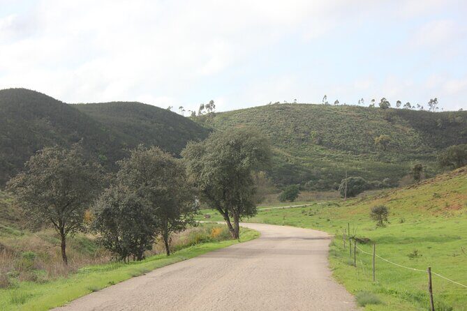 Algarve - The best views from Alvor to Ferragudo by ATV - FAQ