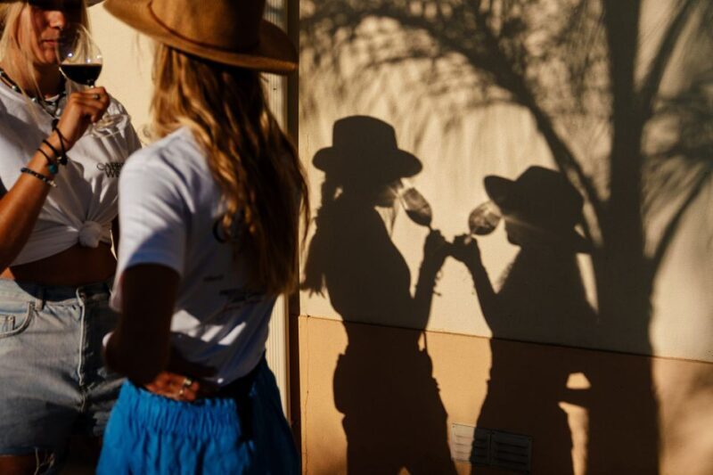 Algarve: Vineyard Tour & Premium Wine Tasting in Silves - Who Will Enjoy This Tour?