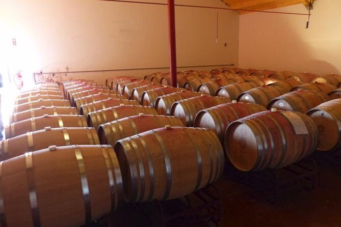 Algarve wine tour and farmer's lunch at wine estate - Key Points