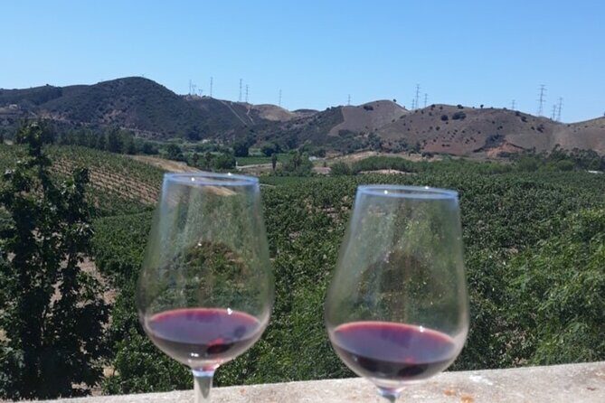 Algarve wine tour and farmer's lunch at wine estate - A Closer Look at the Algarve Wine Tour
