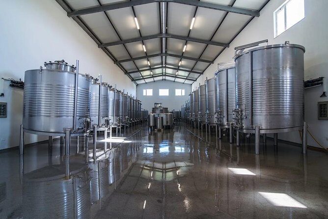 Algarve wine tour and mountain top trip with lunch or dinner at sunset time - What to Expect from This Algarve Wine and Mountain Top Tour