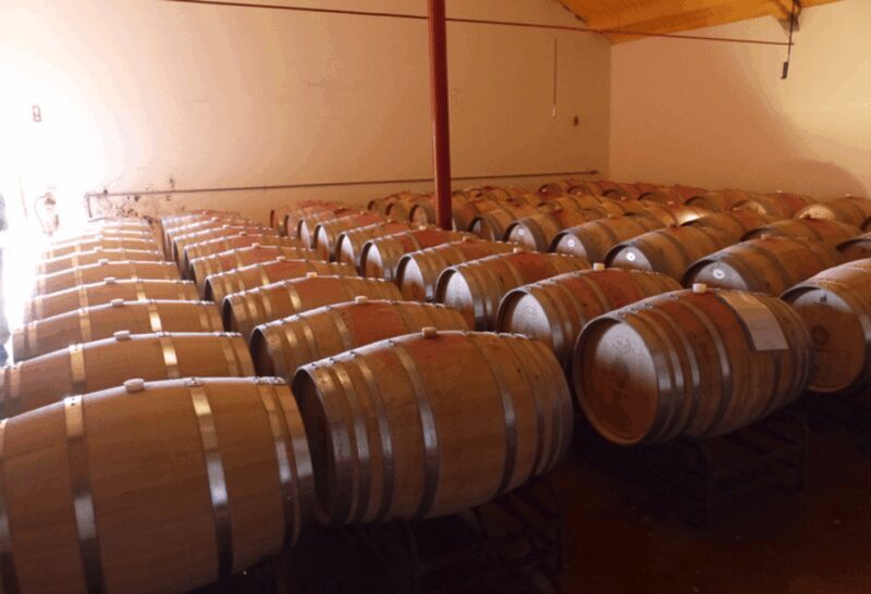 Algarve Wine Tour of two estates guided by wine expert - A Closer Look at the Algarve Wine Tour Experience