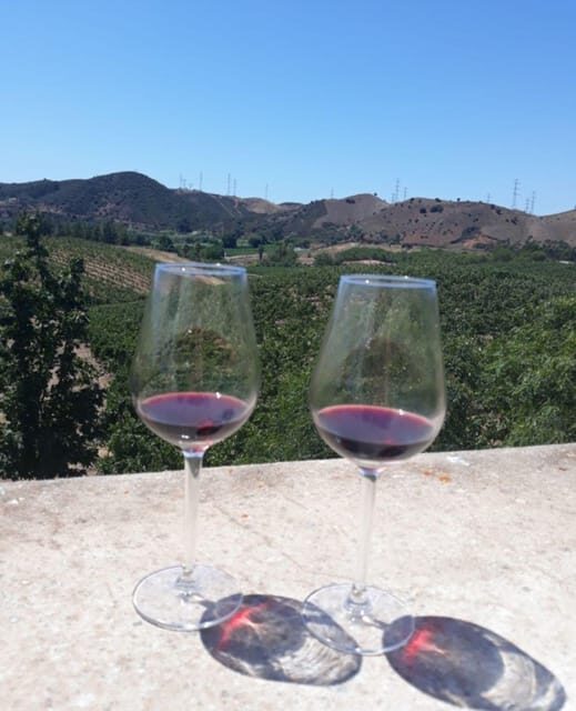 Algarve Wine Tour of two estates guided by wine expert - Possible Drawbacks to Keep in Mind