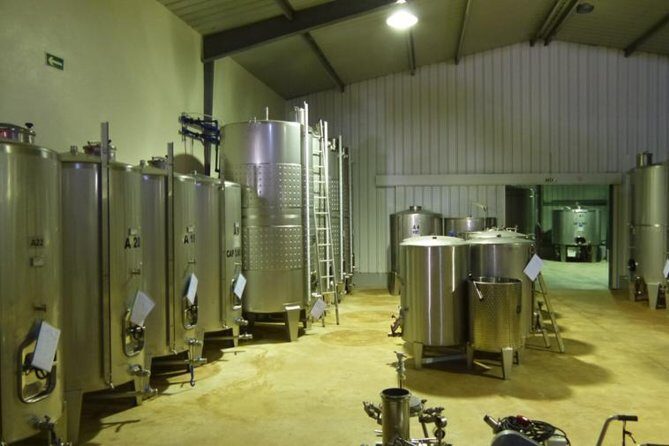 Algarve Wine Tour of Two Wine Estates - An In-Depth Look at the Algarve Wine Tour