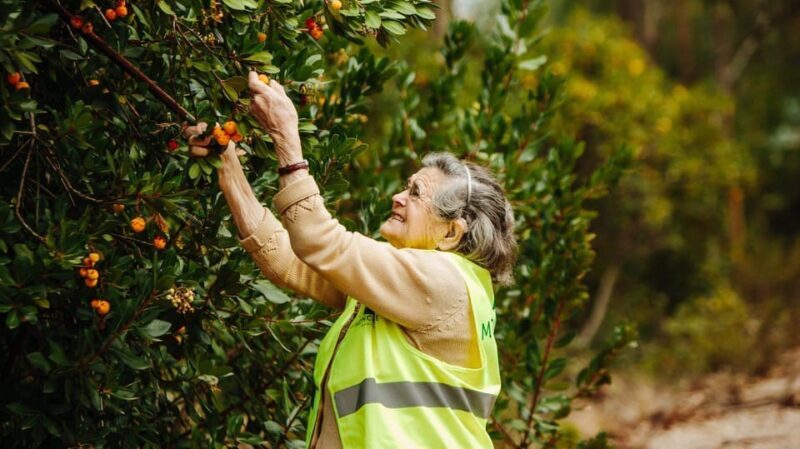 ALGARVE'S ARBUTUS BERRY TRAIL - Key Points