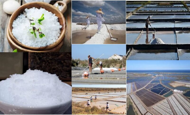 ALGARVE'S SALT TRAIL - Exploring the Algarve Salt Flats
