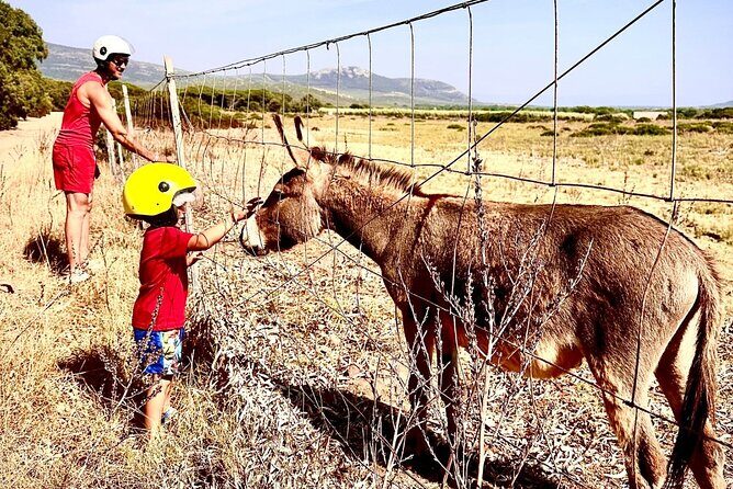 Alghero: 4-hour quad tour - Visiting a Local Farm: A Taste of Sardinian Authenticity