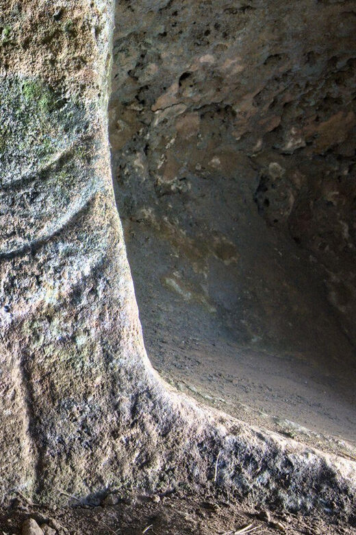 Alghero: Anghelu Ruju Necropolis with Audio Guides - What is Anghelu Ruju Necropolis?