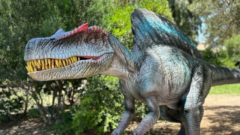 Alghero: Discover dinosaurs in Porto Conte Park - The Experience Itself