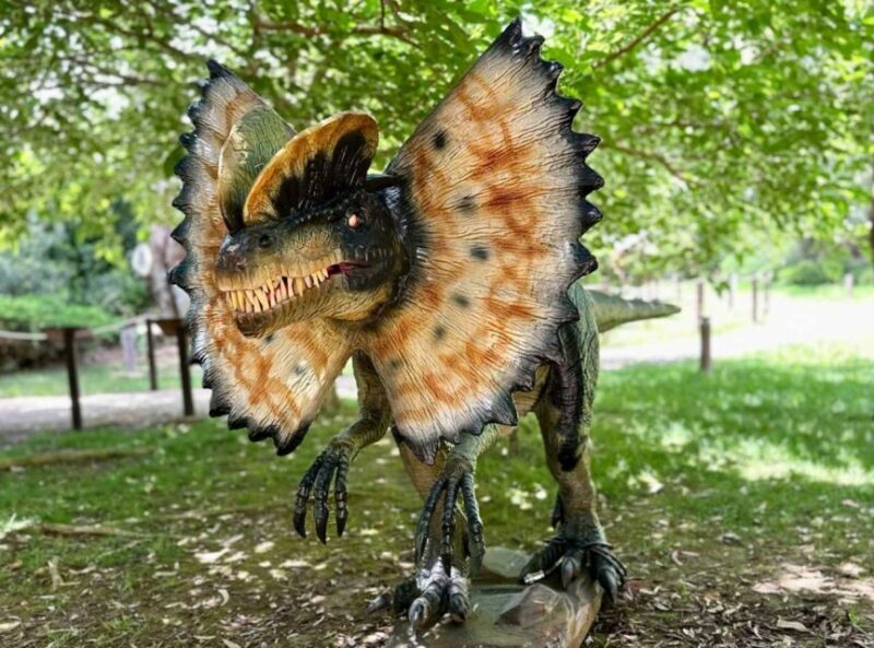 Alghero: Discover dinosaurs in Porto Conte Park - Who Should Consider This Tour?