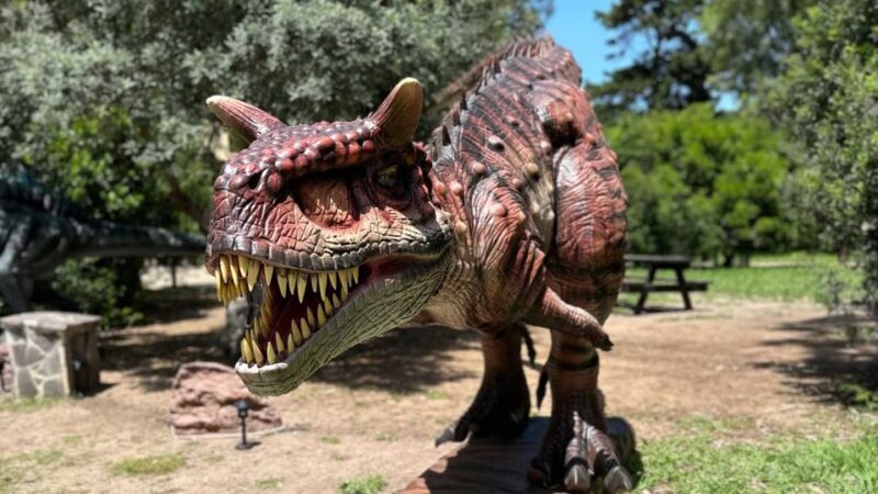 Alghero: Discover dinosaurs in Porto Conte Park - FAQ