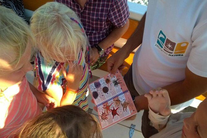 Alghero - Dolphin Watching and Guided Snorkeling (summer tour) - Who’s This Tour Best Suited For?