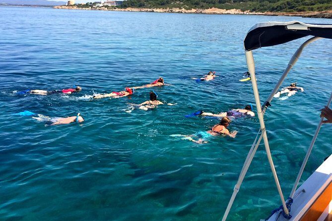 Alghero - Dolphin Watching and Guided Snorkeling (summer tour) - Frequently Asked Questions