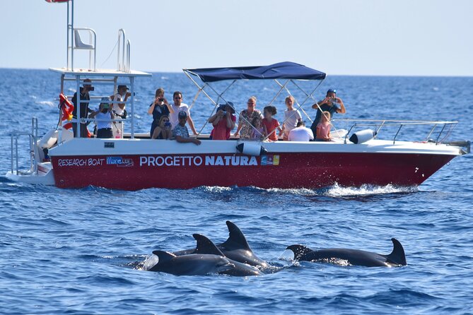 Alghero - Dolphin Watching and Guided Snorkeling (summer tour) - Stop 1: Marina Protetta waters and the snorkel plan