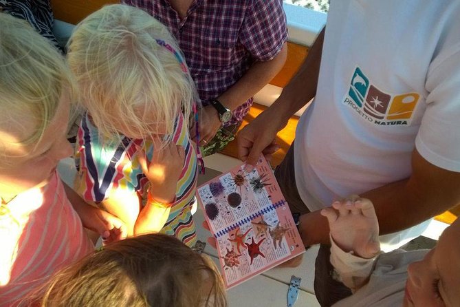 Alghero - Dolphin Watching and Guided Snorkeling (summer tour) - What’s included (and what you should plan to bring yourself)