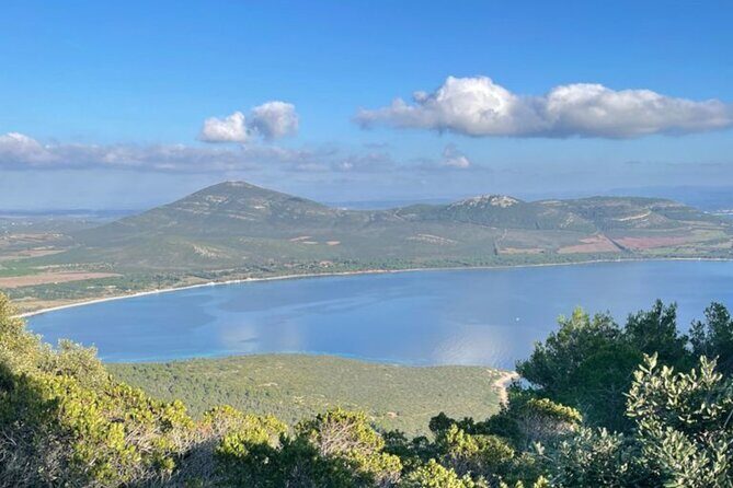 Alghero Ebike Tour In Porto Conte Park - Who Should Consider This Tour?
