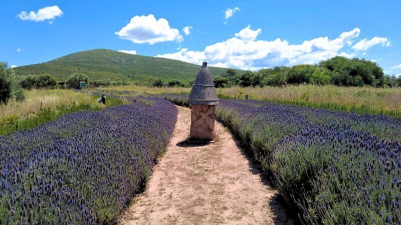 Alghero: Guardia Grande Bee Garden with Guided Tour - FAQ
