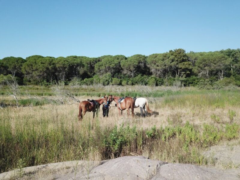 Alghero: Guided Horseback Ride at Lake Baratz & Porto Ferro - The Experience in Detail