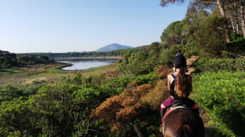 Alghero: Guided Horseback Ride at Lake Baratz & Porto Ferro - Final Thoughts