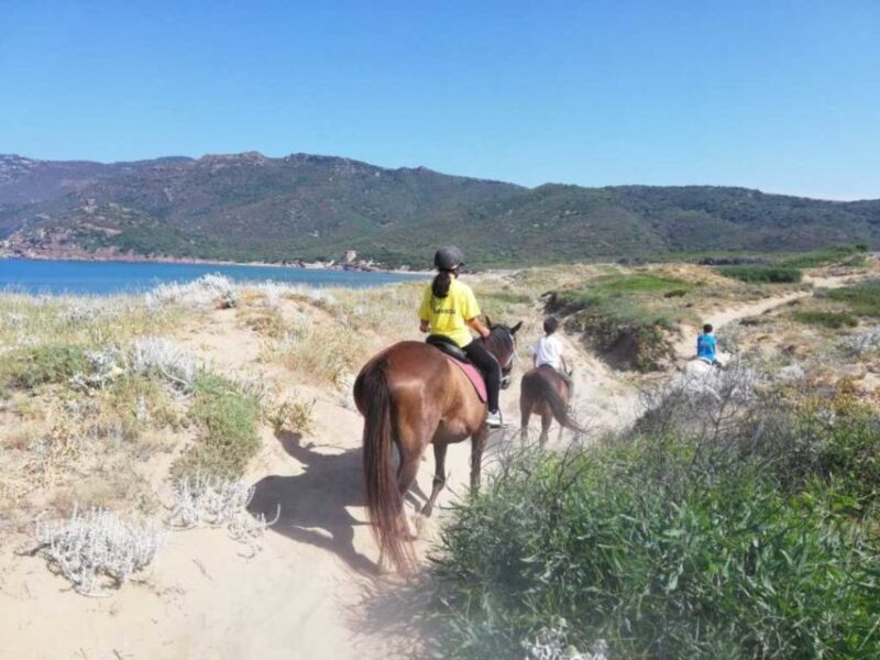Alghero: Guided Horseback Ride at Lake Baratz & Porto Ferro - FAQ