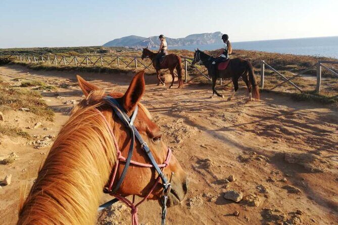 Alghero: horseback ride in Porto Ferro and Lake Baratz - Why This Tour Works Well for Different Travelers