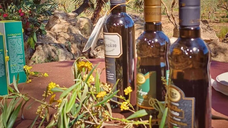 Alghero: Olive Grove Visit with Olive Oil Tasting - Key Points