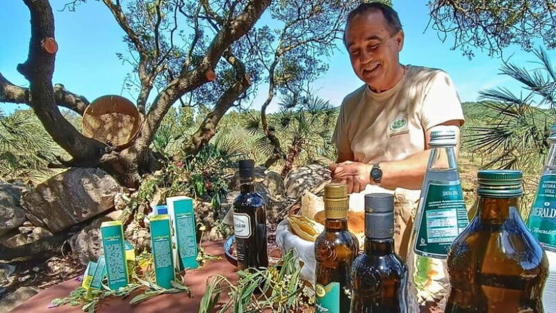 Alghero: Olive Grove Visit with Olive Oil Tasting - Who Should Consider This Tour?
