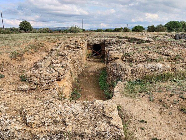 Alghero: private archaeological tour (TRANSFER INCLUDED) with local guide - Visiting the Sites: An Up-Close Look