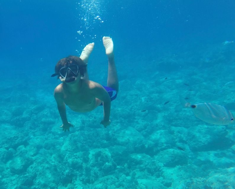 Alghero: Snorkeling Boat Tour in Porto Conte and Capo Caccia - FAQs