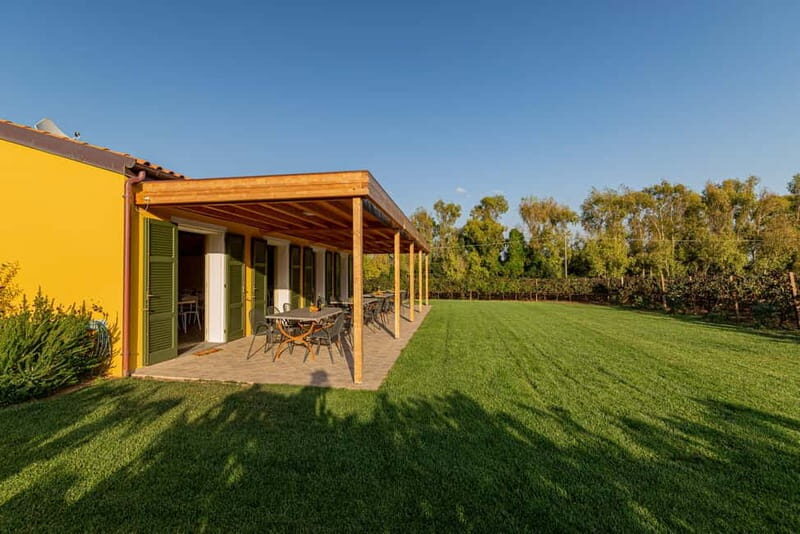 Alghero: Sunset Wine and Olive Oil Tour in Boutique Winery - What to Expect from the Sunset Wine and Olive Oil Tour