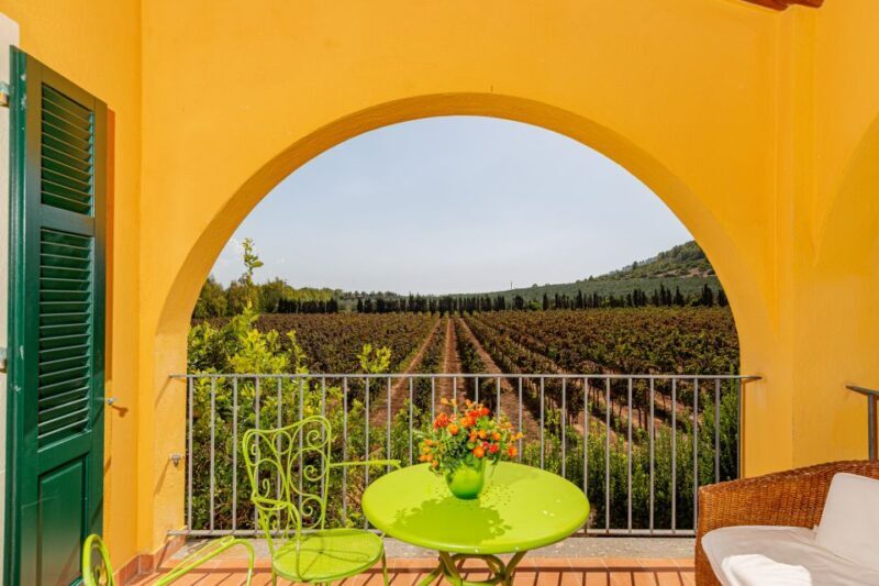 Alghero: Wine and Olive Oil Tasting at a Local Farm - The Real Rewards of This Experience
