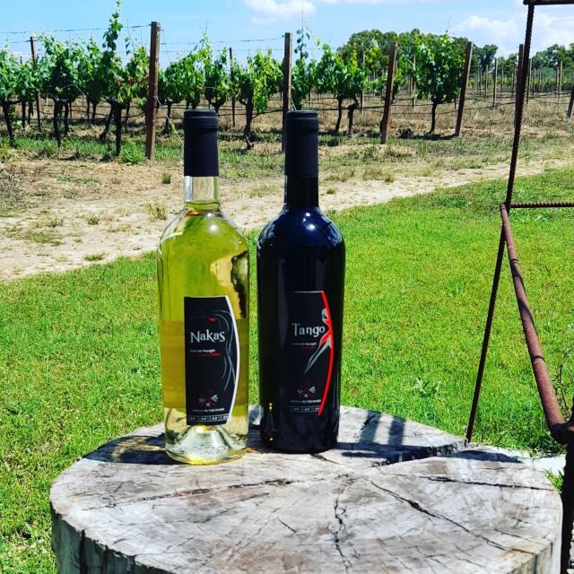 Alghero: wine tasting w/ local aperitif in the vineyard - Frequently Asked Questions