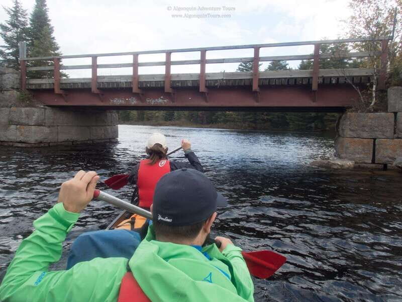Algonquin Park: Canoe Camping Safari - Food & Comfort