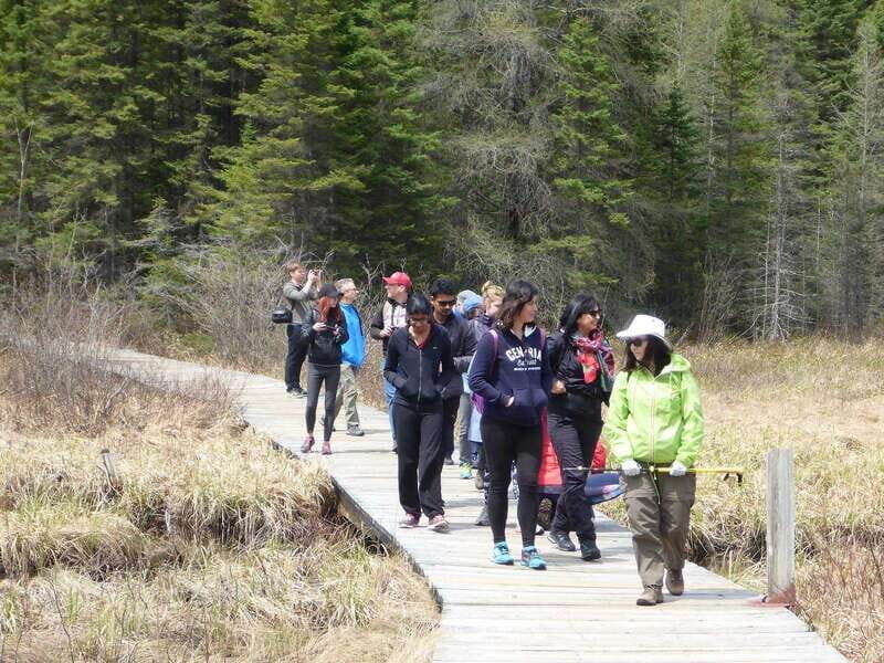 Algonquin Park Hiking: Adventure Tour from Toronto - The Guide and Group Dynamics