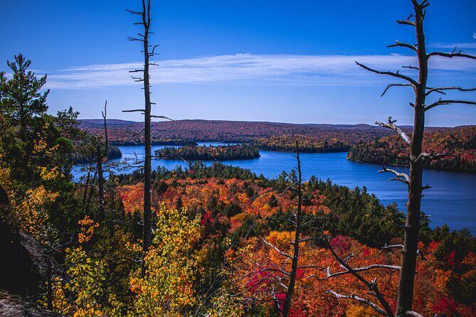 Algonquin Provincial Park Full Day Trip - A Practical Guide to the Algonquin Provincial Park Full Day Trip