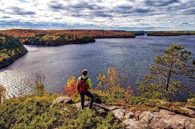 Algonquin Shuttle from Toronto - What Could Be Better?