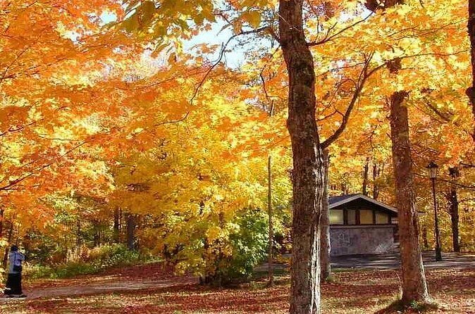 Algonquin Shuttle from Toronto - Final Thoughts