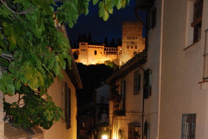 Alhambra: Night Visit to Nasrid Palaces - Final Thoughts