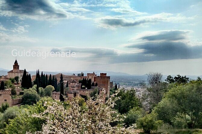 Alhambra Private Tour: Nasrid Palaces and Generalife - The Practicalities: Price, Duration, and What to Know