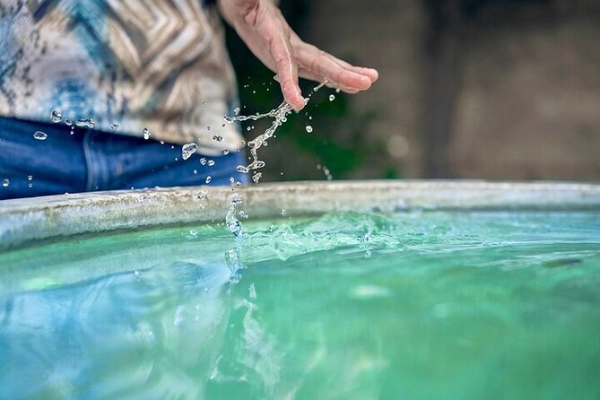 Alhambra Ticket Last Minute Deals - Stop 4: Generalife gardens and the Nasrid retreat (about 15 minutes)