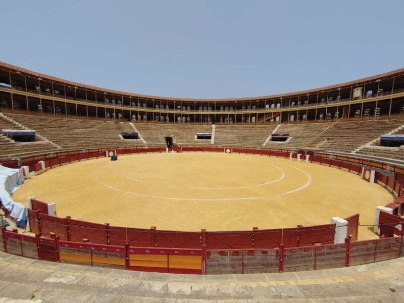 Alicante: Bullring and Bullfighting Museum Entry Ticket - What to Expect from Your Visit