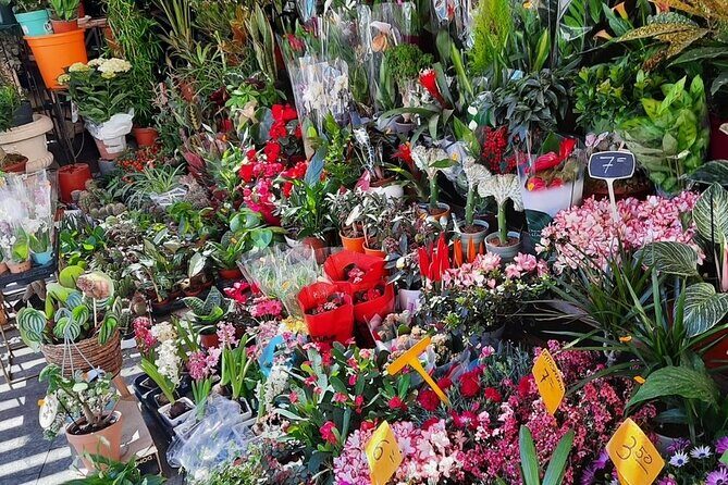 Alicante Discovery Tour from Benidorm - FAQ