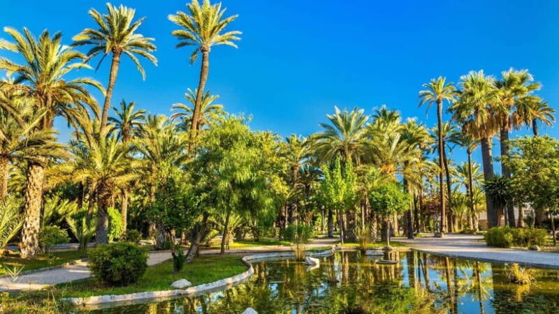 Alicante & Elche: Day Trip with visit to the Santa Bárbara Castle - Elche: A UNESCO Heritage and Oasis of Palms