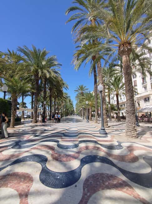 Alicante Essentials: 2-Hour Walking Tour with a Local Guide - Who Will Love This Tour?