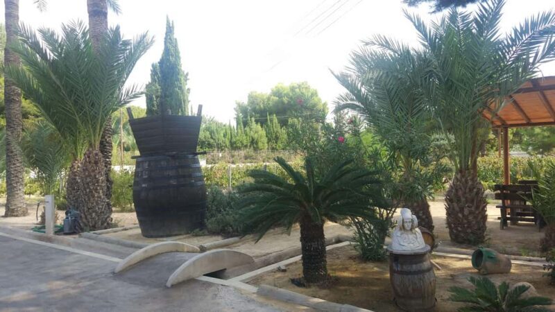 Alicante: Family Winery of Three Generations (4 testings) - Why This Tour Might Be Perfect for You