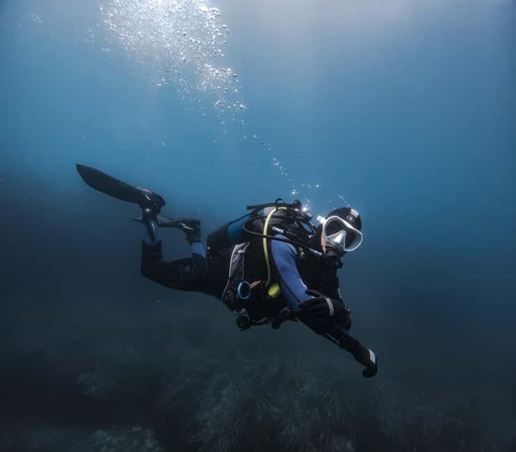 Alicante: Guided Diving Tour for Certified Divers - Key Points