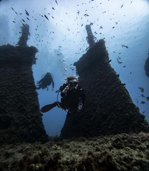 Alicante: Guided Diving Tour for Certified Divers - Exploring the Experience