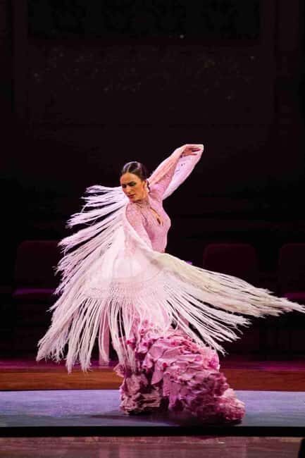 Alicante, Guided tour of the Alicante bullring, flamenco show, tapa and drink - An Honest Look at What You’ll Experience