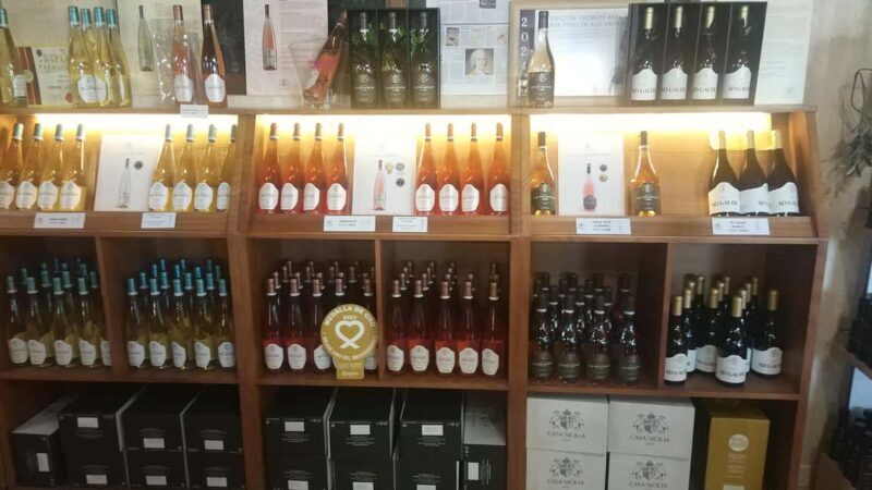 Alicante: Historic Winery Guided Tour + Wine Tasting / Private Transportation - The Verdict: Who Will Love This Tour?