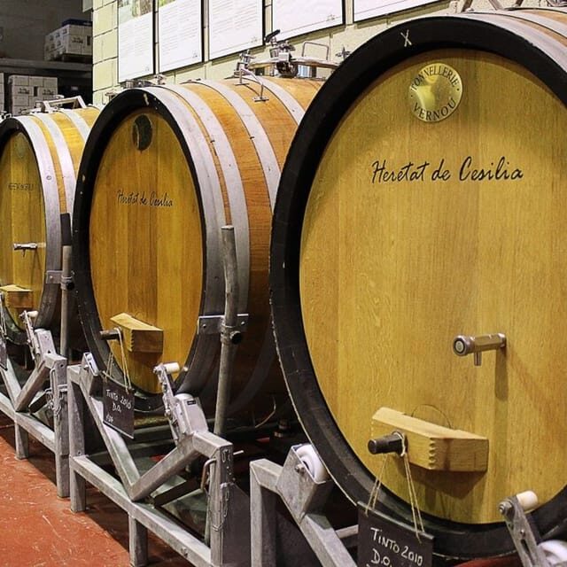 Alicante: Historic Winery Guided Tour + Wine Tasting / Private Transportation - Final Thoughts